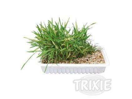Trixie Tráva pro kočku v misce 100 g