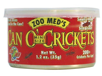 Zoomed Can O 'Crickets – cvrčci mini 35 g