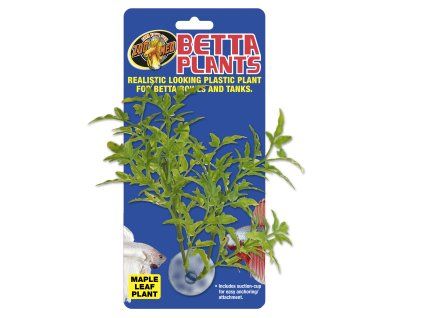Betta Plant – Javorový list