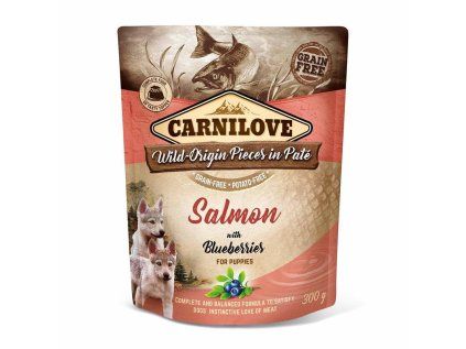 Kapsička Carnilove Dog Paté Salmon with Blueberries for Puppies 300 g