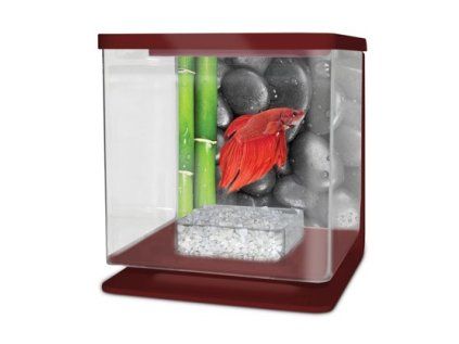 Cat-Gato Betarium Betta kit stones 2 l
