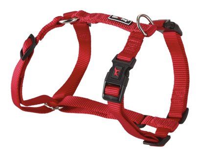 Postroj Gimborn Nylon H 2,5 x 67 - 90 cm červený