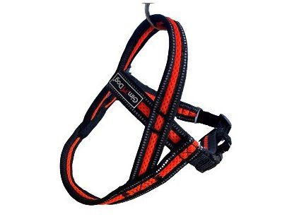 Postroj Gimborn Mesh Y 2,5 x 60 64-80 cm oranžový