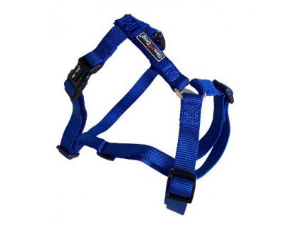 Postroj Gimborn Nylon H 3,8 x 80-110 cm modrý