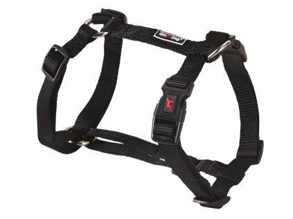 Postroj Gimborn Nylon H 1,5 x 40-55 cm černý