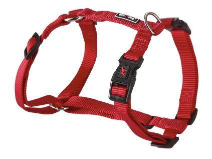 Postroj Gimborn Nylon H 1,5 x 40-55 cm červený