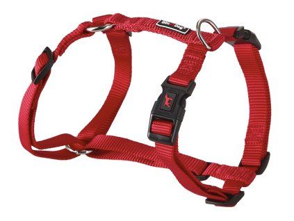 Postroj Gimborn Nylon H 2,0 x 50-70 cm červený