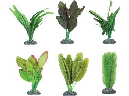 Flamingo akvarijní rostliny mix CONGO S