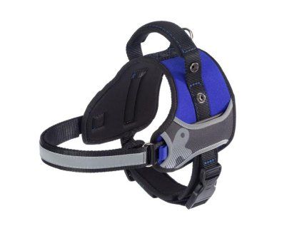 Postroj FERPLAST HERCULES HARNESS BLUE XS