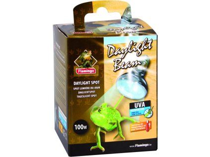 Flamingo Beam bodová žárovka denní světlo 100 W