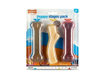 Nylabone hračka Puppy kost příchuť kuřecí, slanina+javor.sirup, hovězí M 3ks