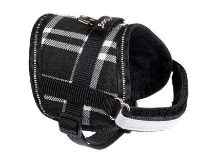 Postroj Gimborn Pixie Scot M 1,5x36-46 cm černý