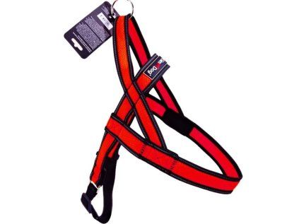 Postroj Gimborn Mesh Y 3,2x75 80-100 cm červený