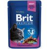 Kapsička Brit Cat Premium Pouches kuře + krůta 100 g