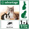 Advantage S.O. antip.kocka do 4kg 1x0,4ml