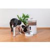 Tesla Smart Pet Feeder Camera