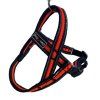 Postroj Gimborn Mesh Y 2,5 x 70 72 - 90 cm oranžový