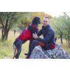 I-Dog Comfort Trek Big batoh na postroj, červený M/L/XL