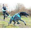 I-Dog ALM Phoneix postroj, modrý M