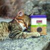 KONG catnip premium 56,7 g